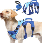 PUPTECK Escape Proof Dog Harness and Leash Set Upgraded No Pull Reflective Dog Vest with Lift Handle, Easy Control Pet Harness for Medium Large Dogs Training Walking Running, Blue, L