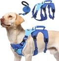 PUPTECK Escape Proof Dog Harness and Leash Set Upgraded No Pull Reflective Dog Vest with Lift Handle, Easy Control Pet Harness for Medium Large Dogs Training Walking Running, Blue, XL