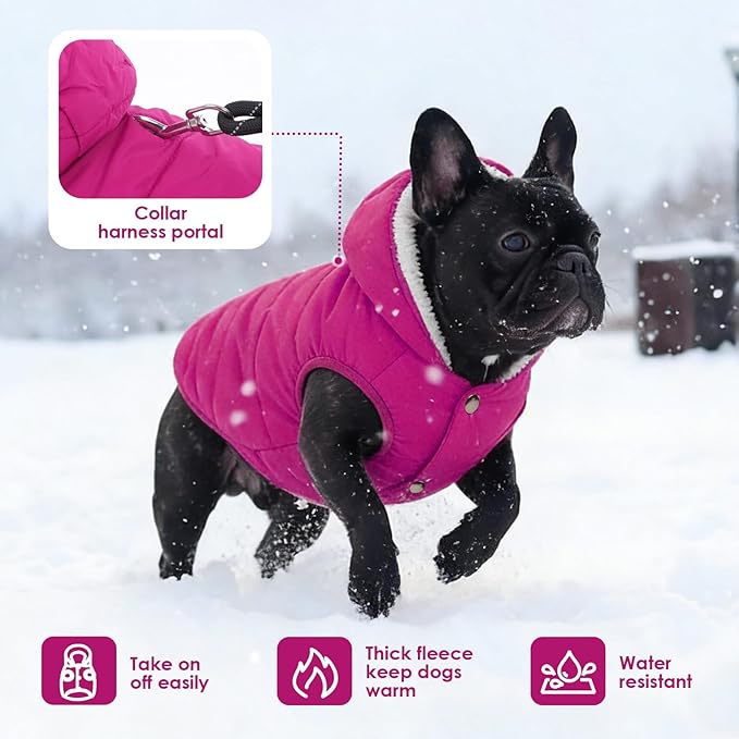 Windproof Waterproof Dog Coat Fleece & Cotton Lined Warm Jacket, Cold Weather Pet Apparel Clothes Vest for Small Medium Large Dog (XS, Pink)
