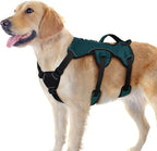 rabbitgoo Escape Proof Dog Harness, Soft Padded Full Body Pet Harness, Reflective Adjustable No Pull Vest with Lift Handle and Leash Clip for Large Dogs Walking Hiking Training, Dark Green, L