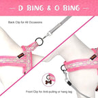 Didog No Pull Dog Harness with Soft Padded, Easy Walk Dog Harness with Quick Release Buckle, Adjustable & Reflective Pet Harness with Soft Padded for Small Medium Dogs (S:Chest 19-22", Pink)