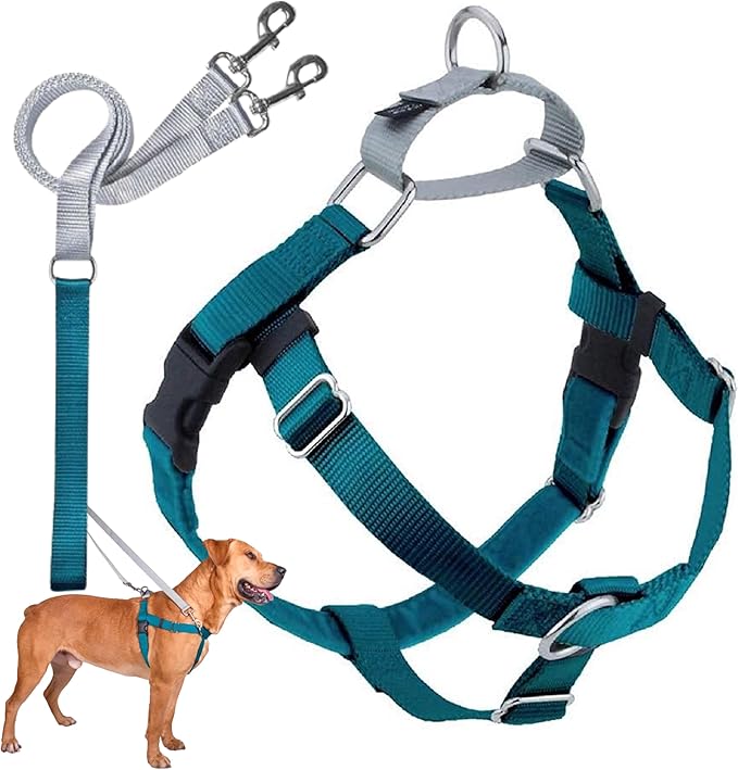 2 Hounds Design Freedom No Pull Dog Harness, Adjustable Harness and Leash Set, Easy Walking & Comfortable Control, Fits Small, Medium & Large Dogs, Solid Colors, Made in USA, 5/8" SM, Teal
