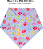 ADOGGYGO Easter Dog Bandana, Multiple Sizes Offered, Reversible Triangle Easter Bandana Scarf for Medium Large Dogs Pets (Large)