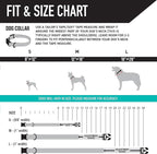 Wolfgang Heavy Duty, Adjustable Dog Collar with Quick Release Nylon Buckle for Walking & Training, ShatterShapes Print, Medium
