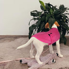 Queenmore Soft Fleece Dog Jacket, Warm Winter Dog Clothes with Leash Hole, Dachshund Sweaters for Small Dogs Cats Boy or Girl (Pink, S)