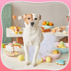 Dog Tutu Tulle Tutu for Dogs Small Large Medium Puppy Dress Ballerina Costume Skirt for Holiday Puppy Cats Bunny Pet Outfit Birthday Wedding Party Photo Prop Supplies(White)