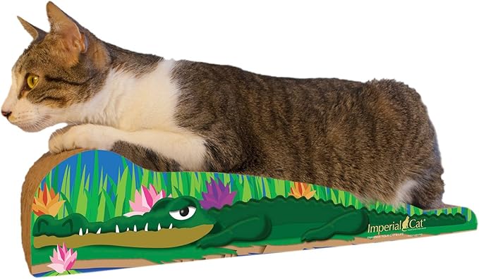 Scratch 'n Shape, Small Crocodile