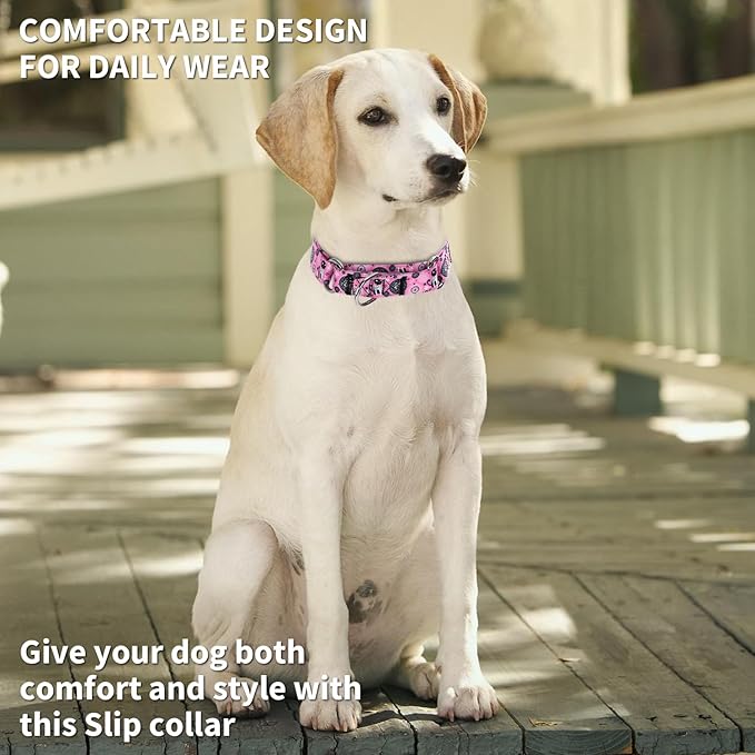 Martingale Dog Collars - Flower Multicolor Cute Patterns, Adjustable Nylon Training Dog Collar Suitable for Boy and Girl Dogs Medium Large Dogs (12, L)