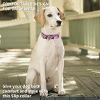 Martingale Dog Collars - Flower Multicolor Cute Patterns, Adjustable Nylon Training Dog Collar Suitable for Boy and Girl Dogs Medium Large Dogs (10, L)