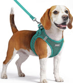Eagloo Small Dog Harness and Leash Set, Step in Puppy Vest with Breathable Soft Mesh, Walking Reflective Pet Harness for Small Dogs, Forest Green, M