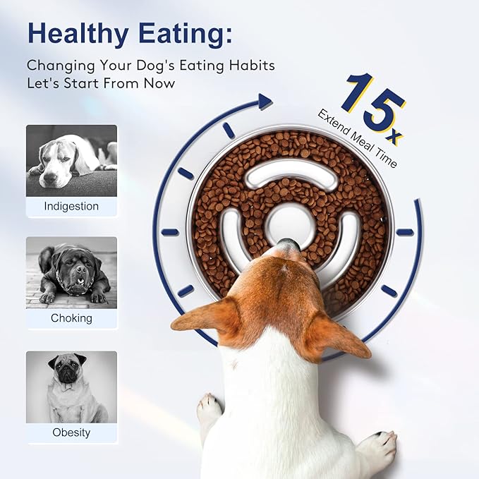Slow Feeder Dog Bowl Stainless Steel, 2 Cups Metal Non-Slip Dog Food Bowls, Dogs Water Bowl for Small & Medium Sized Dogs, Fun Bloat Stop Pet Bowl for Fast Eaters, Slows Down Pets Eating