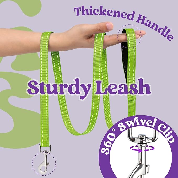 rabbitgoo Dog Harness Small Sized and Leash Set, Step-in Breathable Pet Harness, Soft Walking Reflective Puppy Vest for Small Dogs, Purple & Green, S