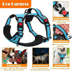 No Pull Dog Harness, Collar & Leash Set | Includes Dog Seat Belt, Collapsible Bowls & Poop Bag Dispenser. Ideal for Training, Walking, Hiking. Fits Small to Large Dogs(Blue-XL)