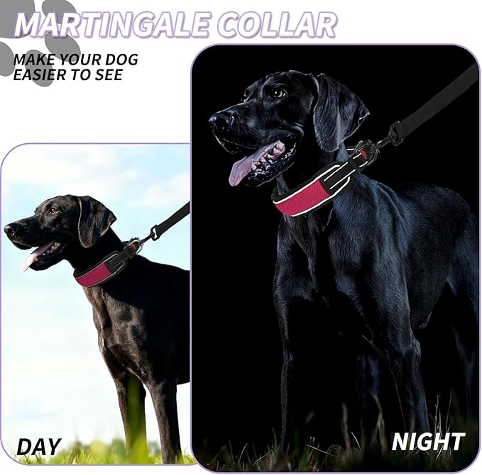 Martingale No Pull Dog Collar for Large Medium Dogs Training Walking, Heavy Duty Nylon Reflective Adjustable Anti Pull Slip Collar with Buckle S Wine Red