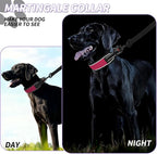 Martingale No Pull Dog Collar for Large Medium Dogs Training Walking, Heavy Duty Nylon Reflective Adjustable Anti Pull Slip Collar with Buckle M Wine Red