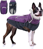 Queenmore Warm Fleece Dog Jacket - Cold Weather Waterproof Snow Jacket with Leash Hole, Reflective Turtleneck - Purple, Medium