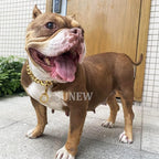 Adjustable Strong Lobster Clasps Dog Titan Collar Training Walking Metal Dog Duty Chew Proof for Medium Large Dogs American Pitbull German Shepherd