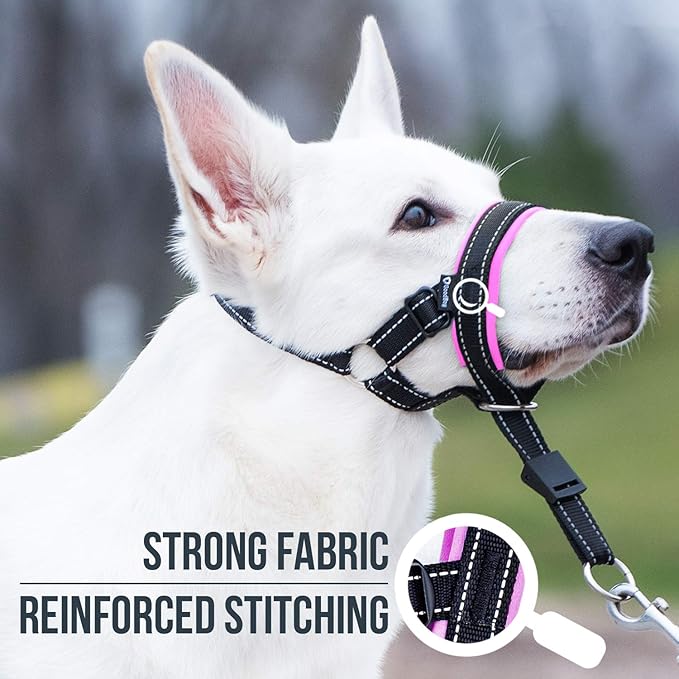 GoodBoy Dog Head Halter with Safety Strap - Stops Heavy Pulling On The Leash - Padded Headcollar for Small Medium and Large Dog Sizes - Head Collar Training Guide Included (Size 3, Pink)