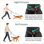 Mayerzon 1.5" Wide Martingale Collar for Large Medium Small Dogs Pitbull German Shepherd, No Pull Reflective Slip Martingale Dog Collar with Buckle Soft Padded for Walking Training(Teal,S)