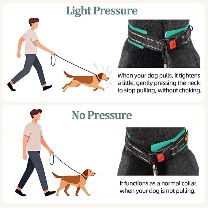 Mayerzon 1.5" Wide Martingale Collar for Large Medium Small Dogs Pitbull German Shepherd, No Pull Reflective Slip Martingale Dog Collar with Buckle Soft Padded for Walking Training(Teal,L)