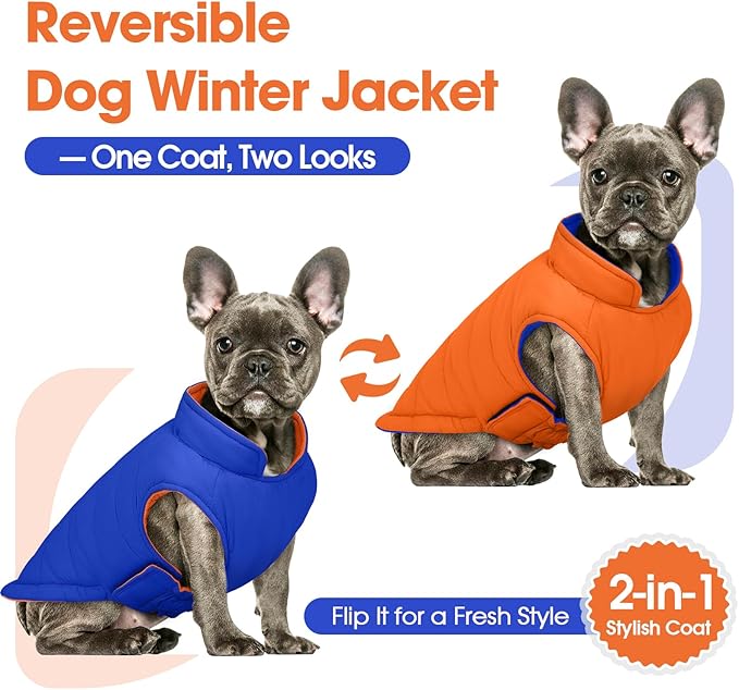 QBLEEV Reversible Dog Jacket for Large Dogs, Waterproof Windproof Winter Coat with Adjustable Hook & Loop Design, Lightweight Puffer Vest Keeps Dogs Warm & Dry, Orange, XL – Fits Pitbull, Boxer