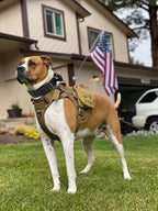 Tactical Dog Collar with Handle - Military Adjustable Dog Training Collar Soft Nylon and Heavy Duty Metal Buckle for Medium Large Dogs - with Patch (Green with Patch, Large)