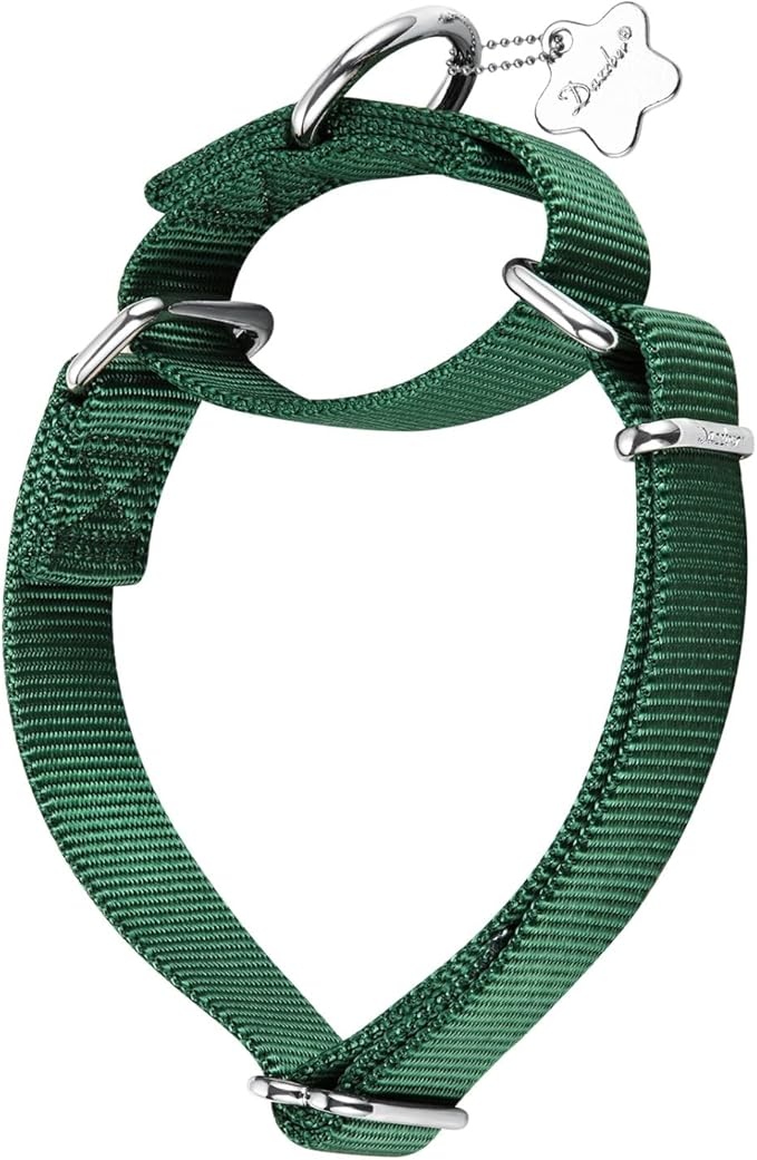 Martingale Dog Collar, Escape-Proof and No Slip Design, Heavy-Duty Nylon with Metal Buckle, Adjustable for Small, Medium & Large Dogs, Colorfast for Training, Daily Walks (Dark Green, M)
