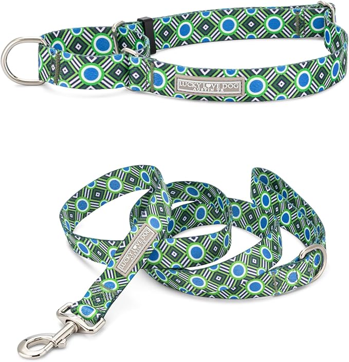 Lucky Love Dog Martingale Dog Collar & Leash - Adjustable, No-Slip, Durable, Comfortable, Soft Webbing, & Stylish Patterned Collar & Leash Set for Male and Female Dogs - Leo Combo, Small