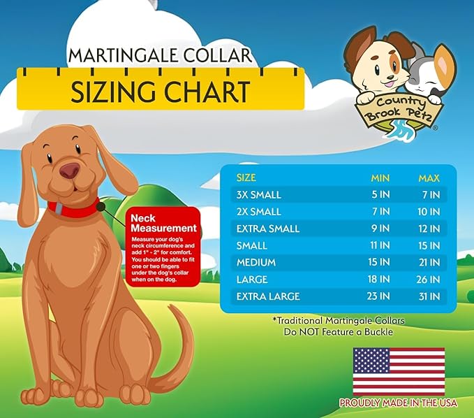 Country Brook Petz - Martingale Dog Collar - Heavy-Duty Training Collar with No Buckle - Service Dog Collar for All Pups - 10+ Cool Colors (Fuchsia, 3/4 Inch, Small)