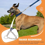 Martingale Dog Collar with Chain, No Pull Slip Cinch Choker Choke Collar Training Escape Proof Heavy Duty Dog Collar for Medium Large Extra Large Pet Dogs,Blue Plaid L