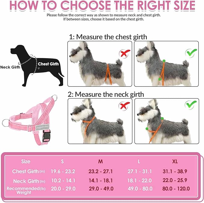 Lukovee No Pull Dog Harness & Leash Set - Heavy Duty Dog Vest Harness with Soft Padded for Medium Large Dogs, Adjustable Reflective Tactical Pet Harness for Easy Walk and Training (S, PI)