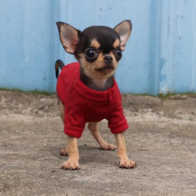 LOPHIPETS 100% Cotton Dog Tee Shirt for Small Dogs Teacup Chihuahua Yorkie Puppy Clothes-Red/XS