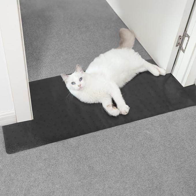 Carpet Protector for Pets Cat Carpet Protector for Doorway, Anti Scratch Under Door Cat Scratch Protector Mat, Easy to Cut Plastic Stopper (Black, 3.6FT-1pack)