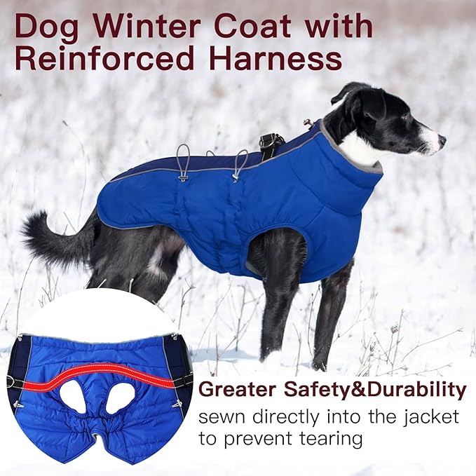 Medium Dog Coat - Warm Zip Up Snowsuit Dog Harness Vest, Reflective, Water-Resistant, Royal-Blue
