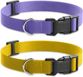 Ecollar Replacement Strap, Nylon 3/4" Replacement Collar for Shock Collar with Quick Release Buckle, Adjustable Shock Collar Replacement Strap for Small Medium Large Dogs (Purple & Yellow)