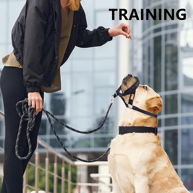 Dog Head Collar, Fabric Padded Head Collar for Dogs to Prevent Pulling, Head Leash for Small Medium Large Dogs Walking(S,Lake Blue)