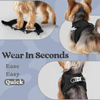 rabbitgoo Small Dog Harness, Step-in Soft Mesh Puppy Vest with Safety Buckle, Breathable Reflective Pet Harness for Small Sized Dogs, Black M