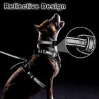 WINSEE Pet Harness Collar and Leash Set, All-in-one Reflective Dog Harness No Pull with Adjustable Buckles for Puppies, Small, Medium, Large, and Extra-Large Dogs (Large, Black)