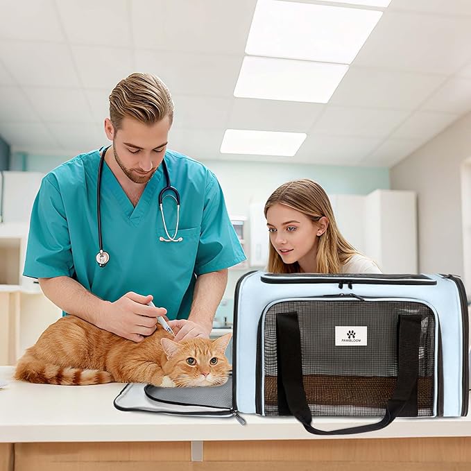 Cat Carrier Dog Carrier - Soft-Sided Cat Carrier with Plush Pad & Cooling Mat, Easy-Load 4-Side Zipper & 3-Side Mesh Ventilation, Pet Carrier Airline Approved for Cats/Dogs Up to 16 lbs, Blue