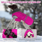 Doglay Dog Coat, Waterproof Dog Jacket Pet Winter Coat for Cold Weather with Thicken Furry Collar, Reflective Puppy Winter Jacket Warm Fleece Lining for Small Medium Large Pets