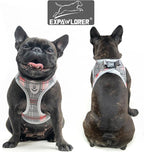 EXPAWLORER Classic Plaid Dog Harness - Large Dog Collar and Leash - Soft Mesh Padded Adjustable Step in Dog Vest Harness No Pull, Reflective Escape Proof for Outdoor Walking, Grey Large