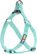 Pawtitas Reflective Step-in Dog Harness – Adjustable No-Pull Vest for Puppies to Seniors, Safe & Comfortable, XS Teal