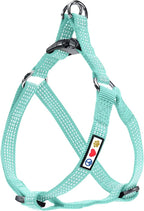 Pawtitas Reflective Step-in Dog Harness – Adjustable No-Pull Vest for Puppies to Seniors, Safe & Comfortable, XS Teal