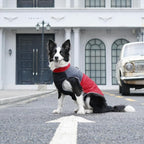 Warm Fleece Dog Coats for Medium Dogs,D-Rings Waterproof Puppy Jacket for Cold Winter,Red XL