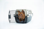 Petmate Vari Dog Kennel Portable Airline-Friendly Carriers & Crates for Small Dogs and Puppies, Durable Plastic, Pet Carrier For Home and Travel, XS Extra Small 19" For Dogs Up To 10 Lbs, Taupe
