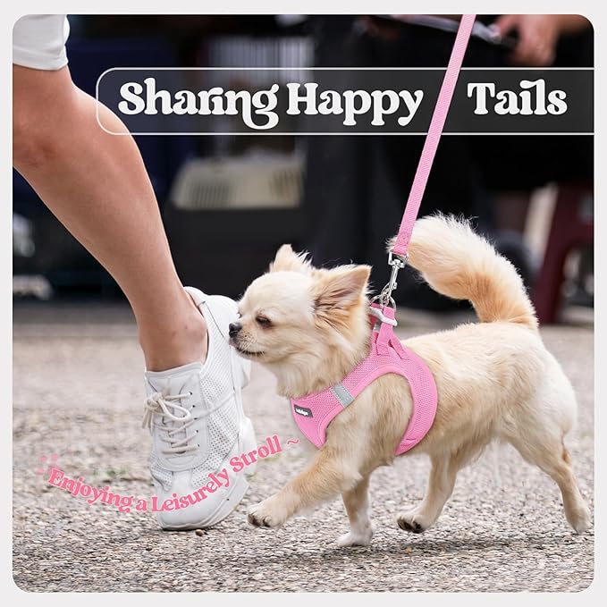 rabbitgoo Dog Harness Small Sized and Leash Set, Step in Soft Light Puppy Vest, Breathable Mesh Pet Harness, Reflective for Safe Easy Walking, Light Pink M