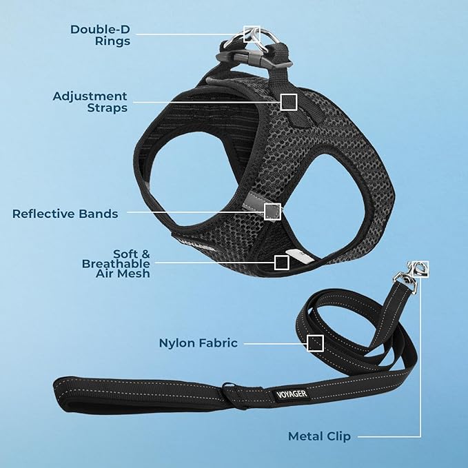 Best Pet Supplies Voyager Step-in Air All Weather Mesh Harness and Reflective Dog 5 ft Leash Combo with Neoprene Handle, for Small, Medium and Large Breed Puppies - Gray (2-Tone), L