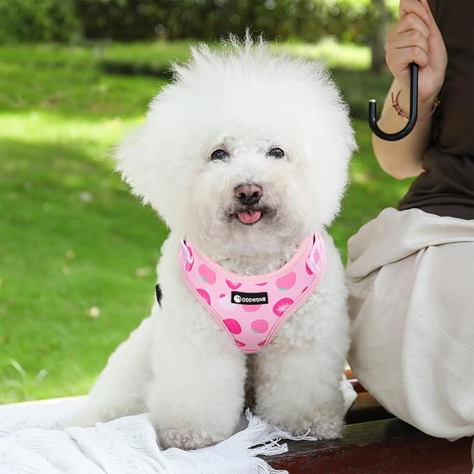 Dog Harness and Leash Set, Adjustable Dog Harness, Dog Leash, No Pull No Choke Puppy Harnesses for Walking Training for Small Medium Pet (Strawberries, L(Chest 18.5-27.1", Neck 14.5-20.1"))