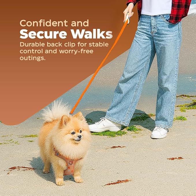 Haminway No-Pull Dog Harness for Medium Dogs – Reflective, Breathable Vest with Adjustable Chest & Neck Straps – Easy to Wear, Anti-Choke Harness for Safer Walks (Orange, Size Medium)