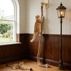 Wall Mounted Cat Tree with 2 x 59.1 Inch Jute Climbing Ropes, Solid Wood Cat Climbing Tower with Scratching Post, Rope Ladder, Jumping Platforms & Wall Steps Cat Playground